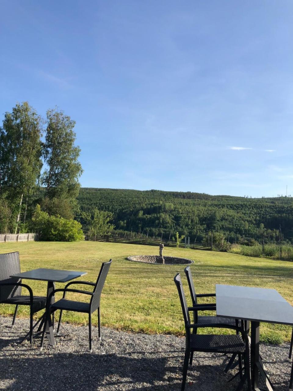 Hotell Restaurang Naemforsen Näsåker Екстериор снимка