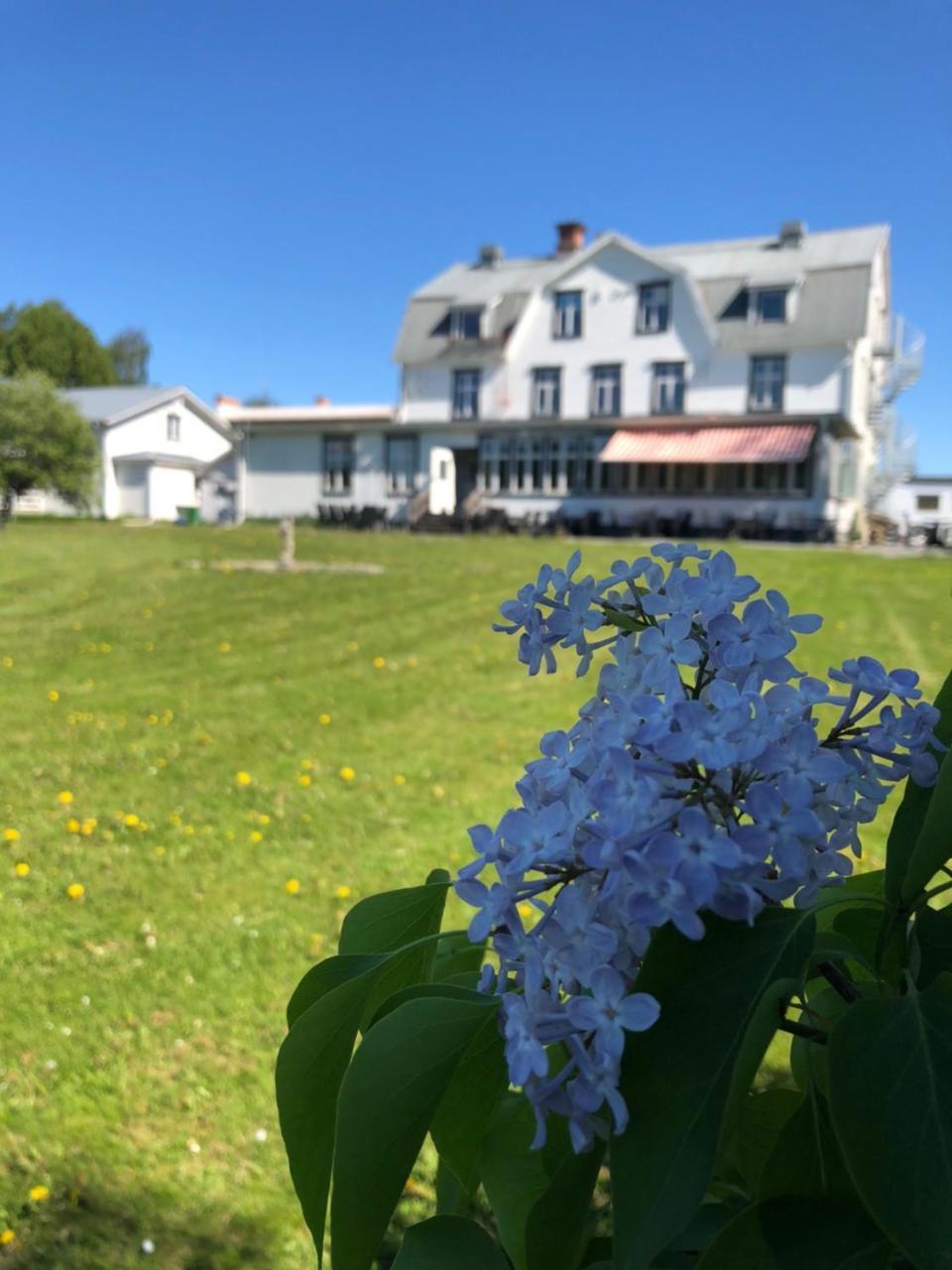 Hotell Restaurang Naemforsen Näsåker Екстериор снимка