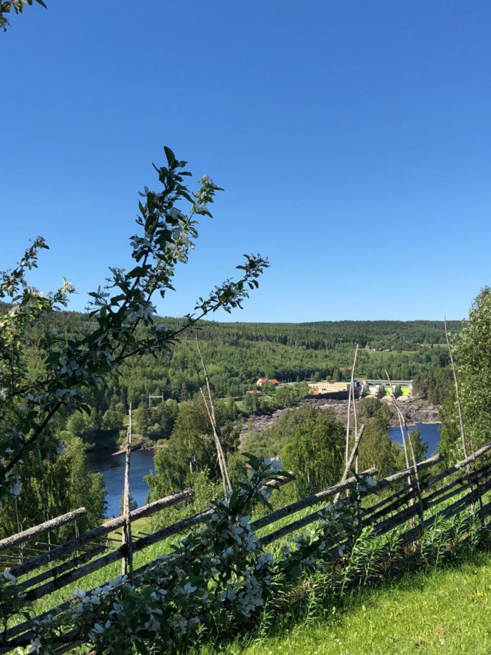 Hotell Restaurang Naemforsen Näsåker Екстериор снимка