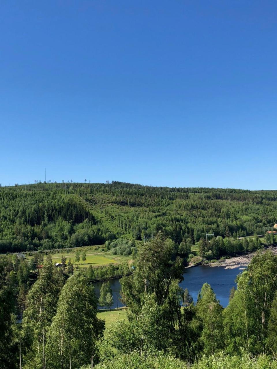 Hotell Restaurang Naemforsen Näsåker Екстериор снимка